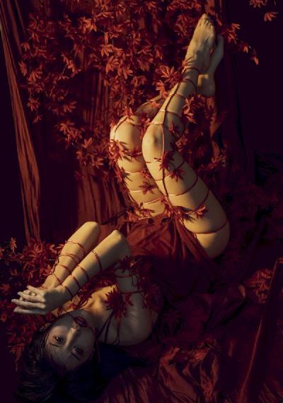 18岁以上免费观看美女直播视频_电视剧完整版在线观看