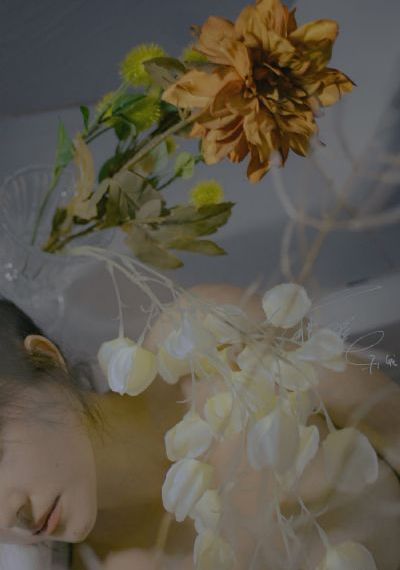 朋友的未婚妻hd中字在线播放_手机免费播放动漫